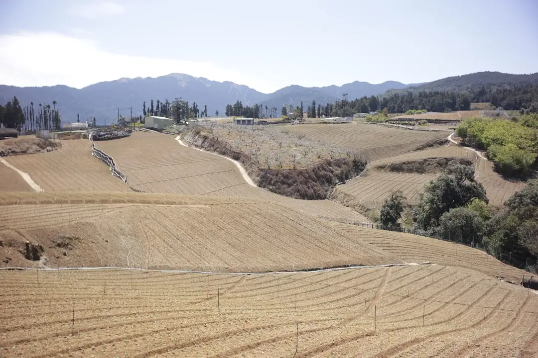 深圳电子产业升级背景下手机壳制造技术的新趋势